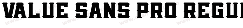 Value Sans Pro Regul字体转换